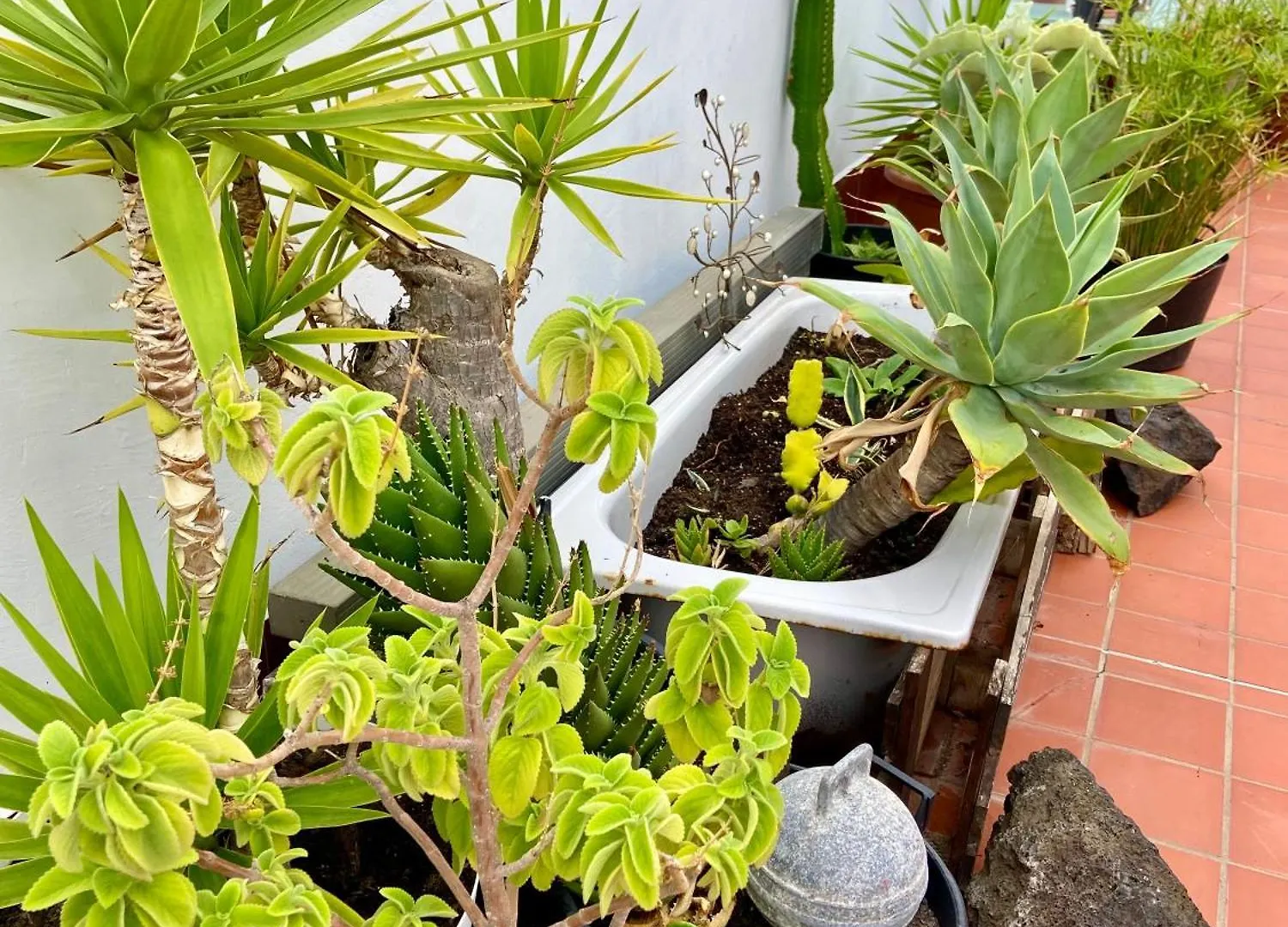 Apartamentos Los Verodes Frontera